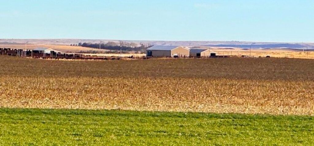 Property photo for land for sale in Dundy County Nebraska