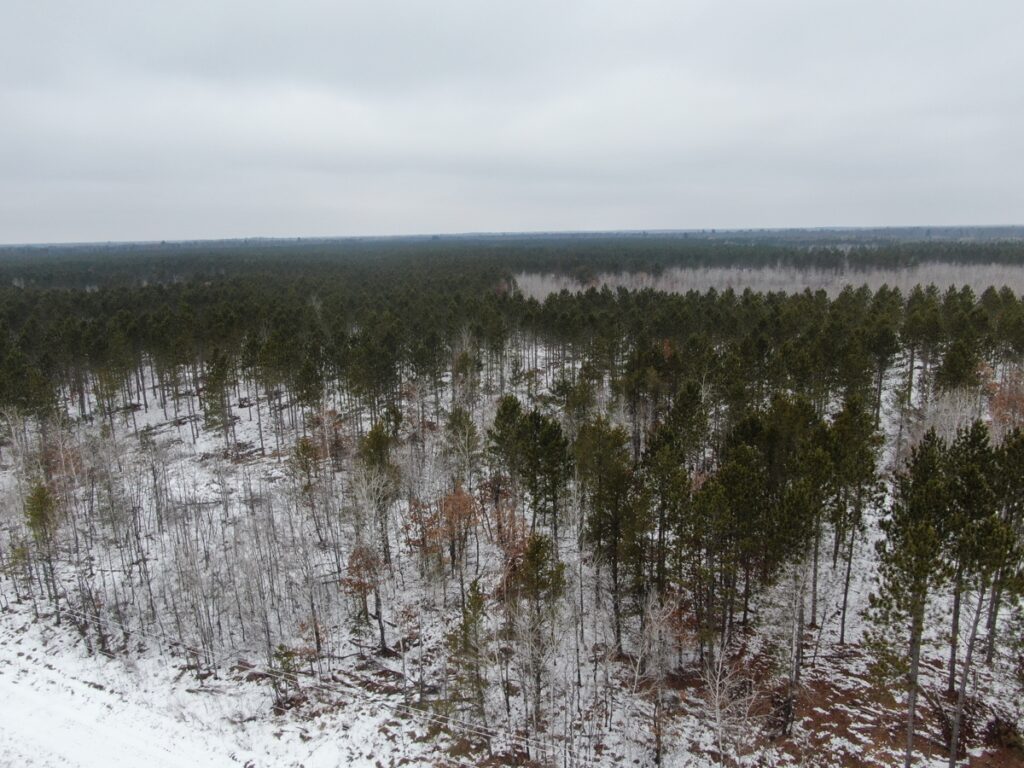 Property photo for land for sale in Juneau County Wisconsin