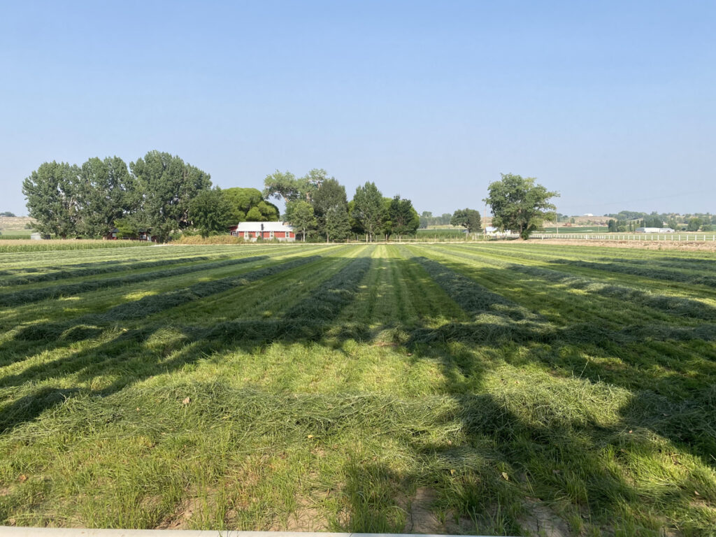 Property photo for land for sale in Montrose County Colorado