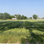 Property photo for land for sale in Montrose County Colorado