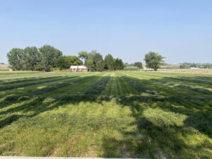 Property photo for land for sale in Montrose County Colorado