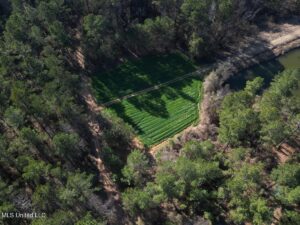 Property photo for land for sale in Copiah County Mississippi