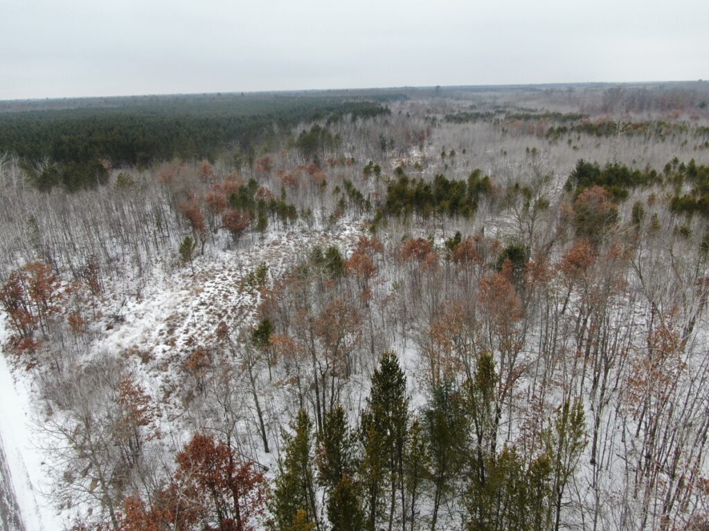 Property photo for land for sale in Juneau County Wisconsin