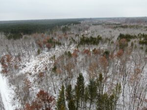 Property photo for land for sale in Juneau County Wisconsin