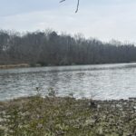 Property photo for land for sale in Wilcox County Alabama