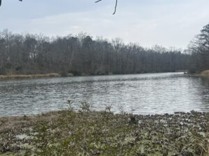 Property photo for land for sale in Wilcox County Alabama