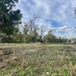 Property photo for land for sale in Houston County Alabama