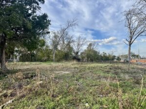 Property photo for land for sale in Houston County Alabama