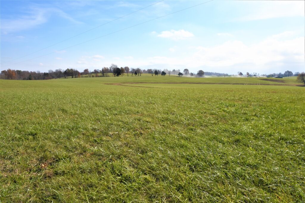 Property photo for land for sale in Metcalfe County Kentucky