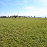 Property photo for land for sale in Metcalfe County Kentucky