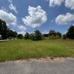 Property photo for land for sale in Pike County Alabama