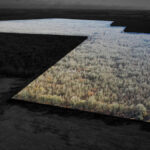 Property photo for land for sale in Red River County Texas