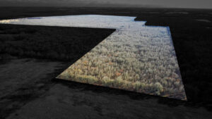 Property photo for land for sale in Red River County Texas