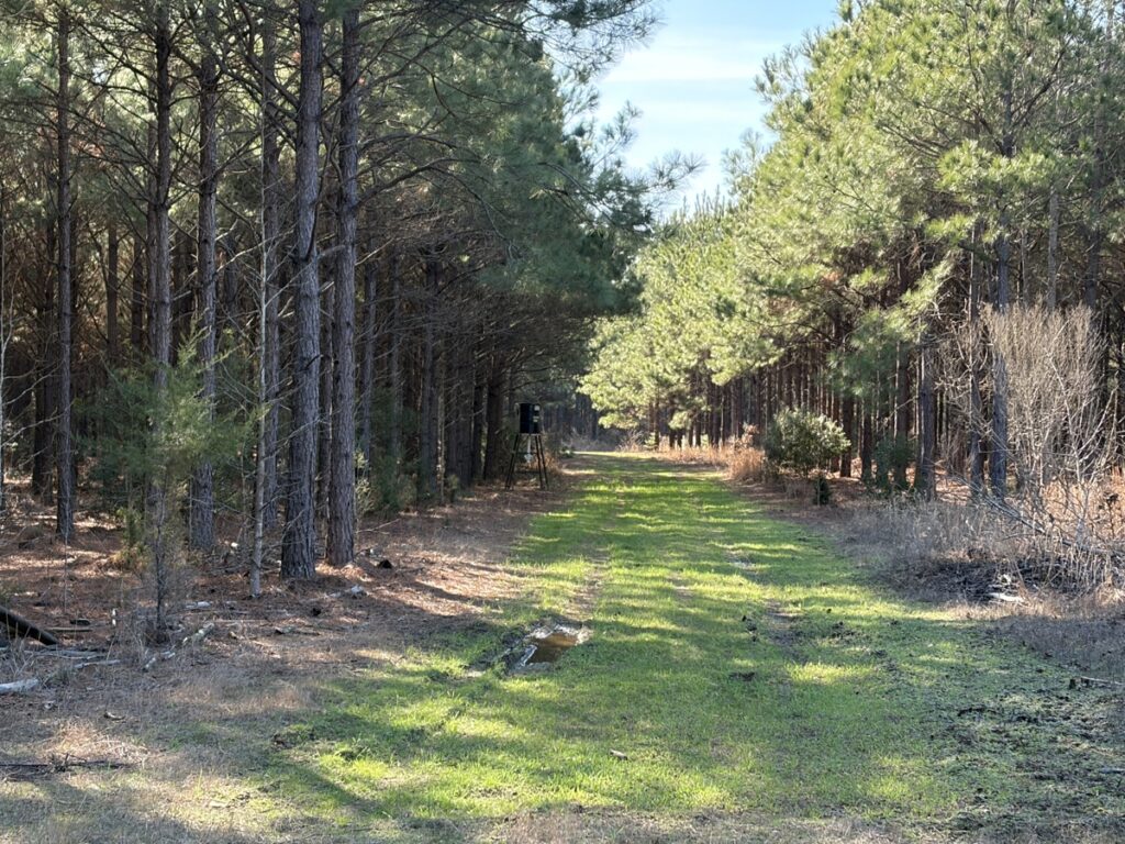 Property photo for land for sale in Cass County Texas