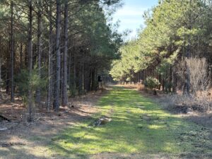 Property photo for land for sale in Cass County Texas