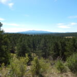 Property photo for land for sale in Park County Colorado