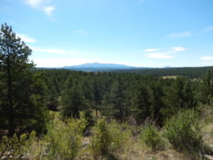 Property photo for land for sale in Park County Colorado