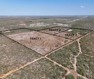 Property photo for land for sale in Jim Wells County Texas