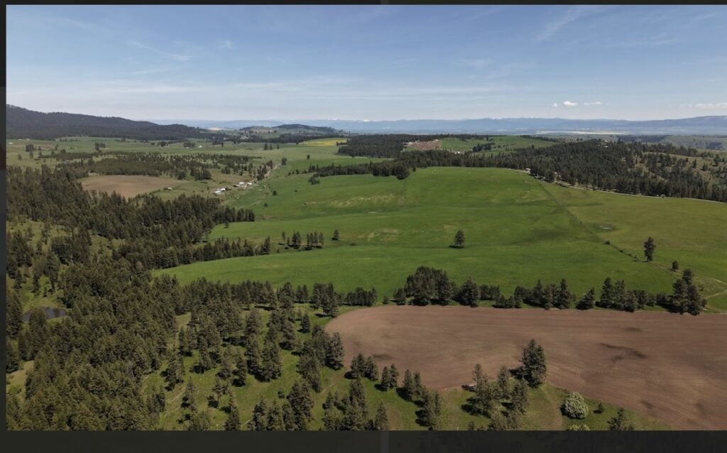 Property photo for land for sale in Idaho County Idaho