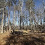 Property photo for land for sale in Clinton County Kentucky