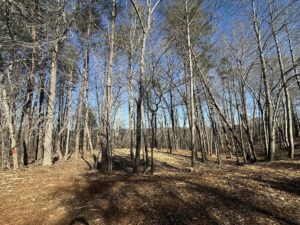 Property photo for land for sale in Clinton County Kentucky