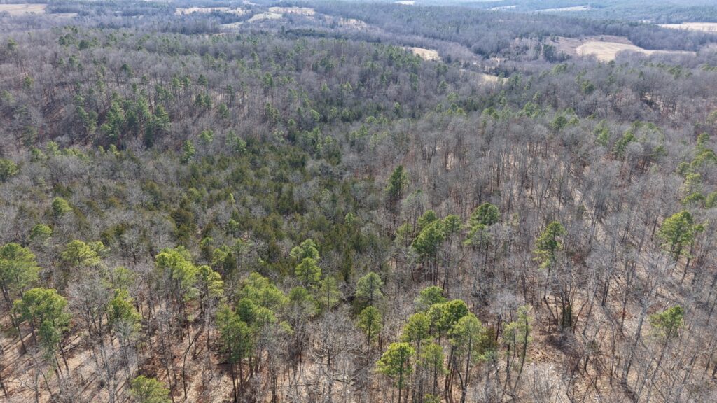 Property photo for land for sale in Izard County Arkansas