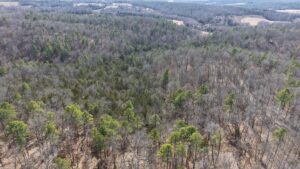 Property photo for land for sale in Izard County Arkansas