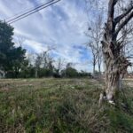 Property photo for land for sale in Houston County Alabama