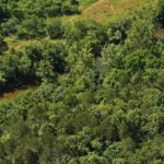 Property photo for land for sale in Ozark County Missouri