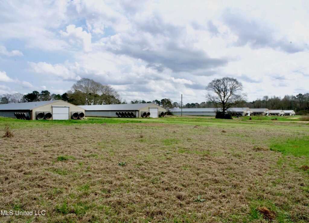 Property photo for land for sale in Walthall County Mississippi