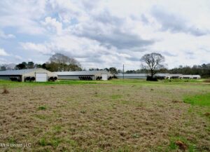 Property photo for land for sale in Walthall County Mississippi