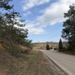 Property photo for land for sale in Hardin County Tennessee