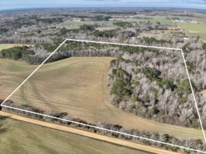 Property photo for land for sale in Coffee County Alabama