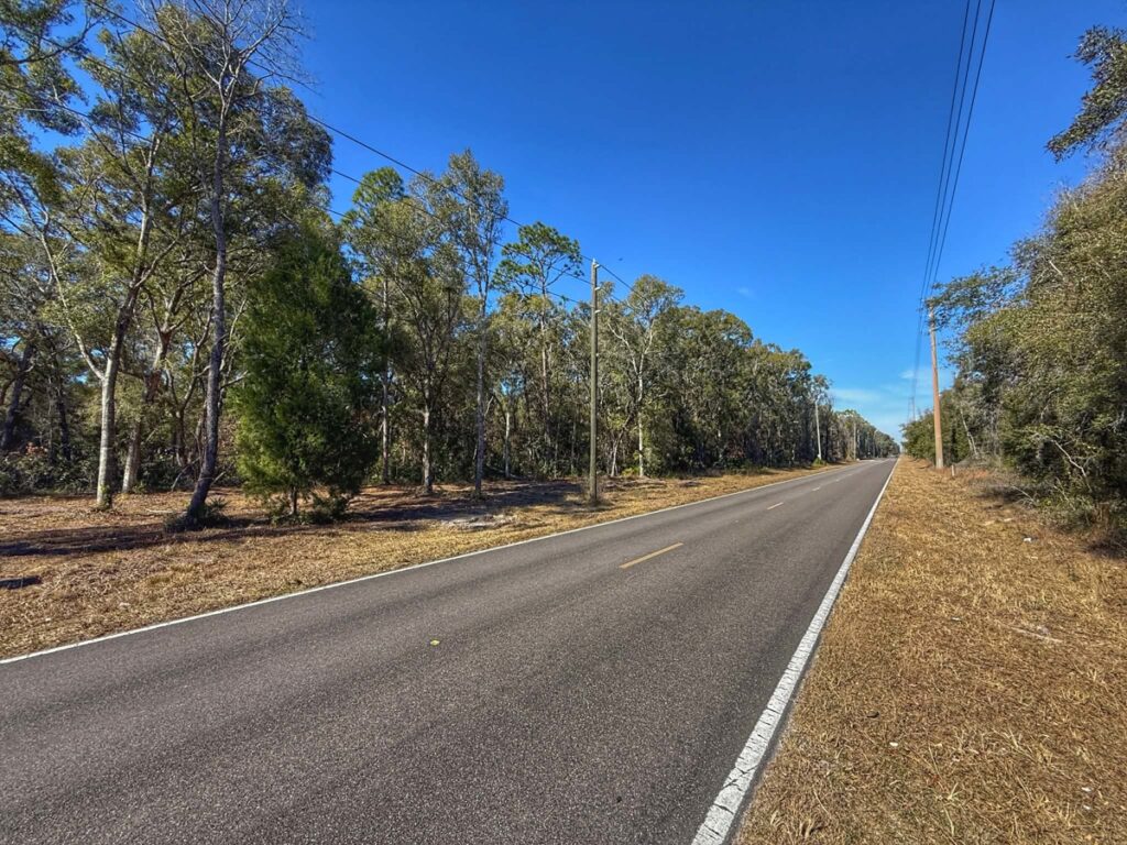Property photo for land for sale in Levy County Florida