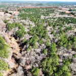Property photo for land for sale in Marion County Texas