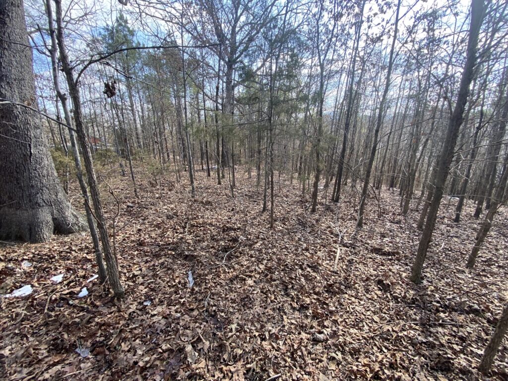 Property photo for land for sale in Newton County Arkansas