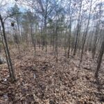 Property photo for land for sale in Newton County Arkansas