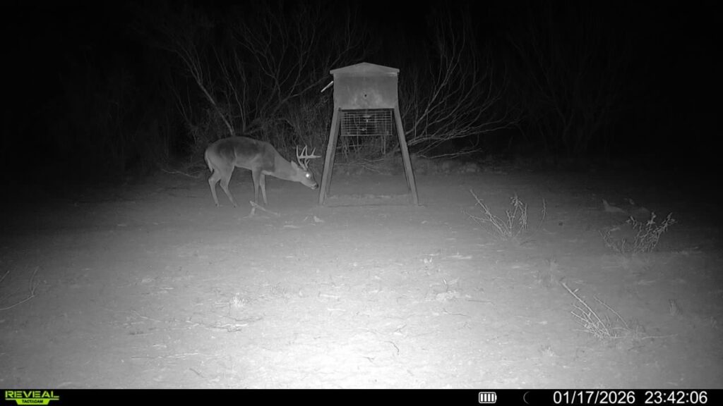 Property photo for land for sale in Duval County Texas