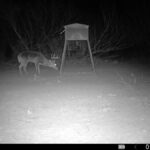 Property photo for land for sale in Duval County Texas