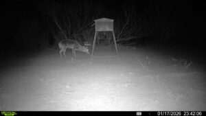 Property photo for land for sale in Duval County Texas