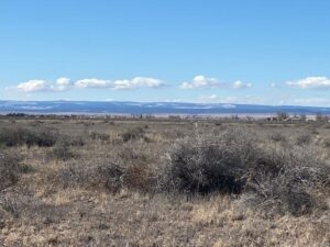 Property photo for land for sale in Torrance County New Mexico