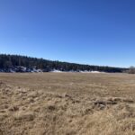 Property photo for land for sale in Rio Arriba County New Mexico