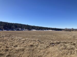 Property photo for land for sale in Rio Arriba County New Mexico