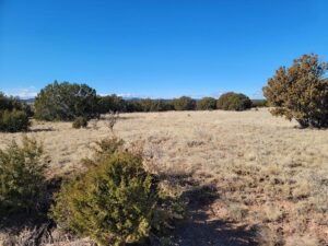 Property photo for land for sale in Torrance County New Mexico