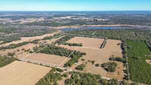 Property photo for land for sale in Levy County Florida