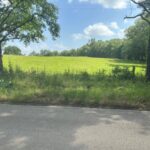 Property photo for land for sale in Wood County Texas