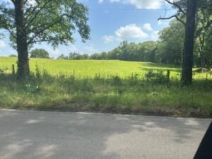 Property photo for land for sale in Wood County Texas