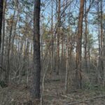 Property photo for land for sale in Hardin County Tennessee