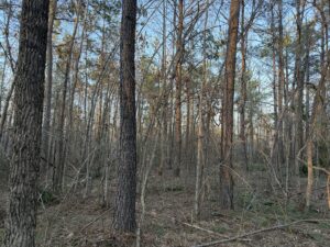 Property photo for land for sale in Hardin County Tennessee