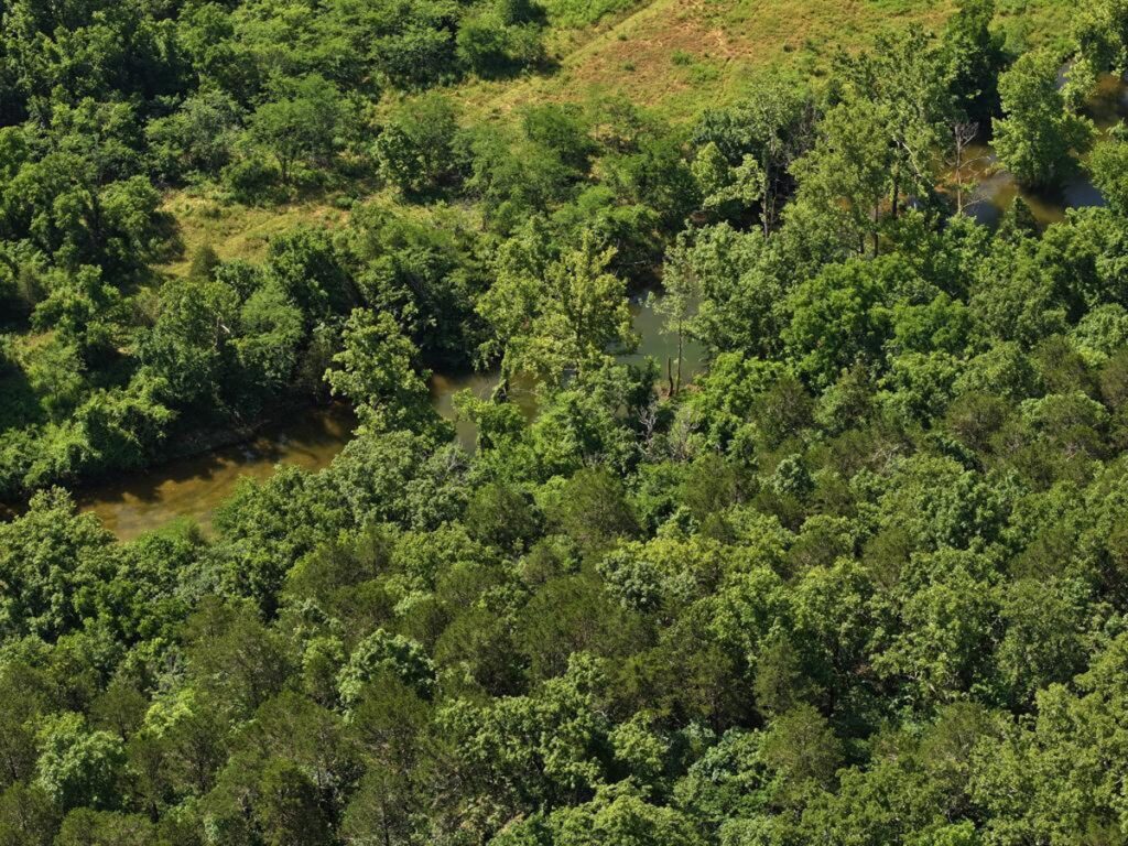 Property photo for land for sale in Ozark County Missouri